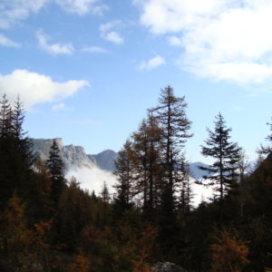 Piani dell'Antelao