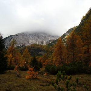 Piani dell'Antelao