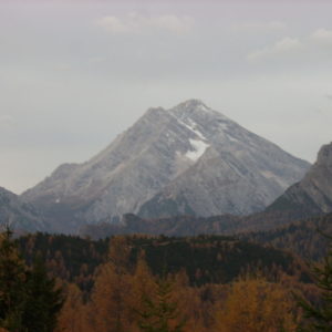 L'Antelao visto da Pian dei Buoi
