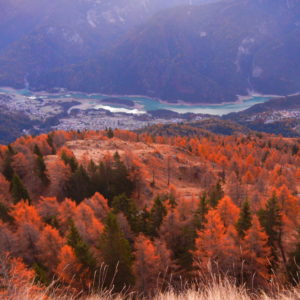 Il lago del Centro Cadore da Tranego