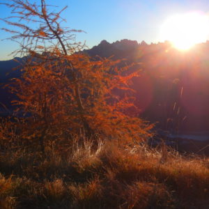 Natura verso Tranego