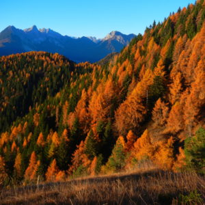 Panorami mattutini da Tranego