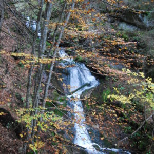 Ruscello verso i piani dell'Antelao