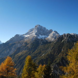 L'Antelao da San Dionisio